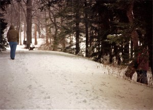 Ropars Family Hike at the Morton Arboretum